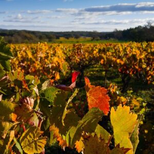 Chateau Les Guizats